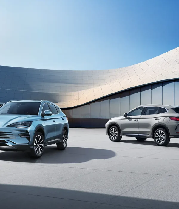 image-upload-1736938544578